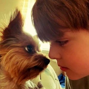 Meet your Posher, Jamie